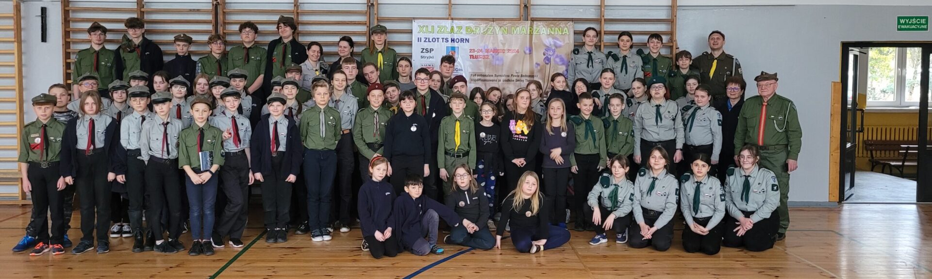 Towarzystwo Skautowe Horn